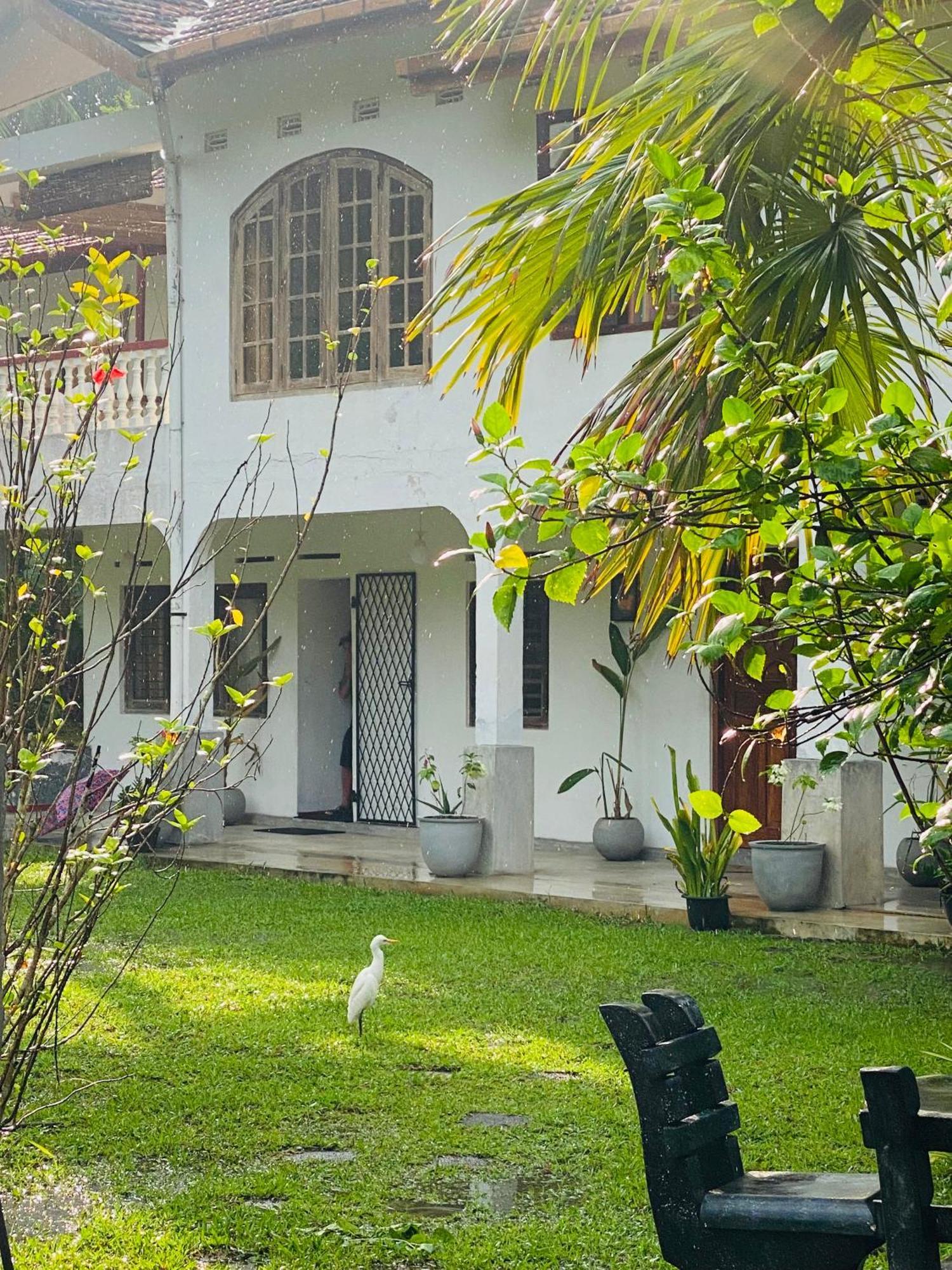 Sunny'S Garden Hotel Амбалангода Экстерьер фото
